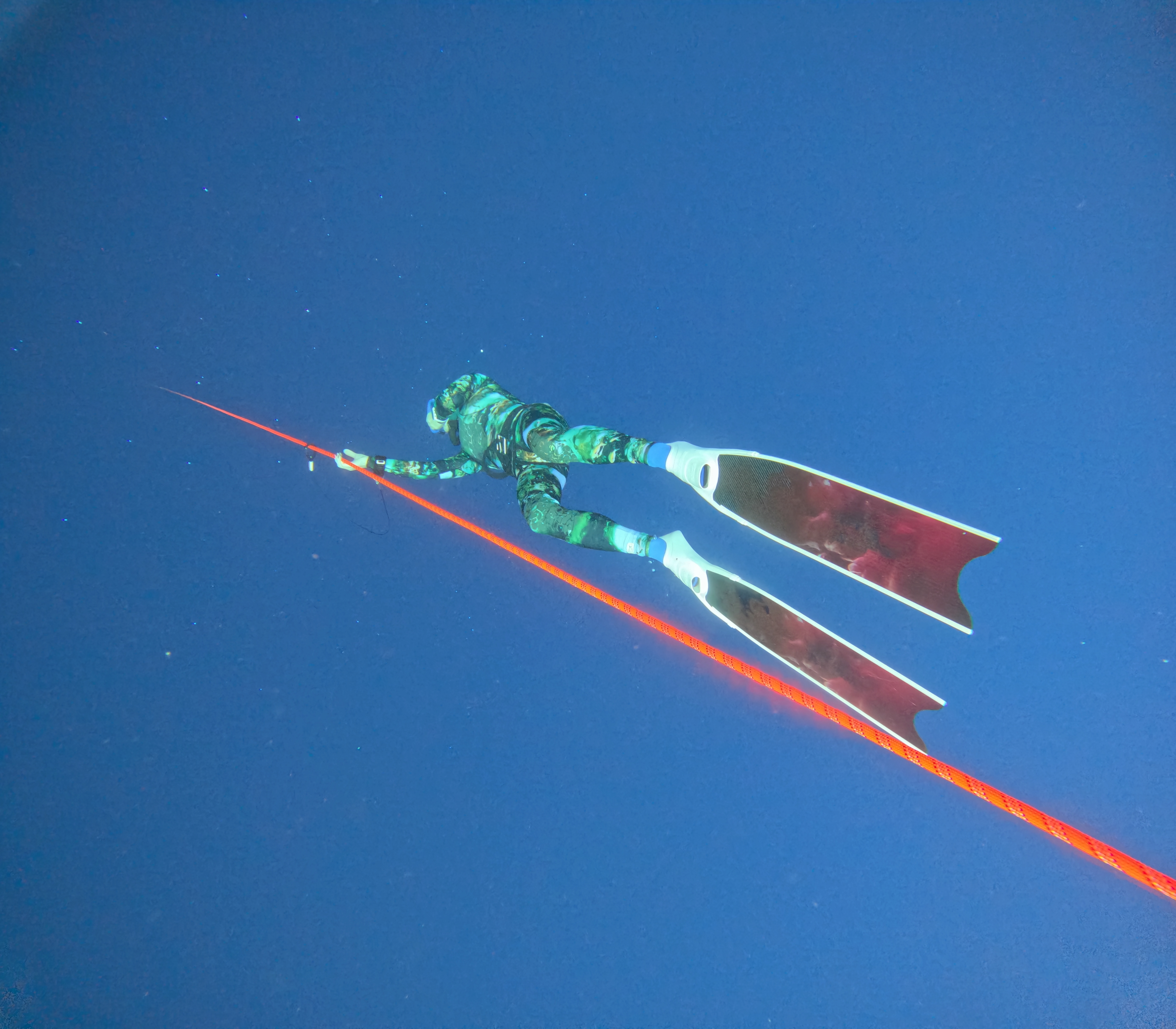 Freediver in a green camouflage wetsuit descending headfirst along a red guide line